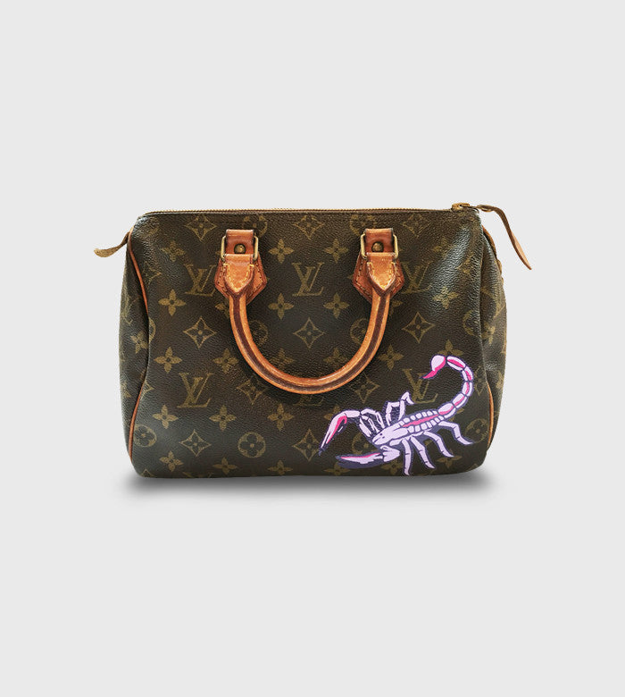 Louis Vuitton Speedy / Custom Art